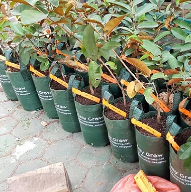 Planter Bag 3 Liter Easy Grow