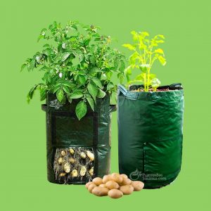 Potato Planter Bag Merk Easy Grow