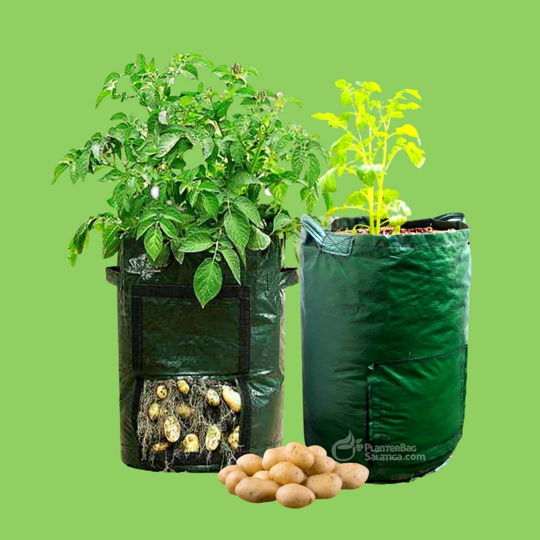 150 litre Woven Planter Bags - with handles - FREE SHIPPING