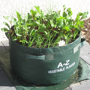 Vegetable Planter Bag Merk Easy Grow