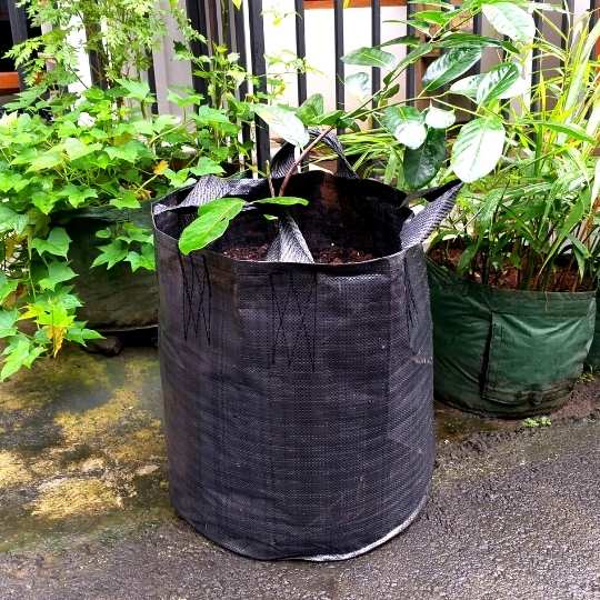 Planter Bag Easy Grow Salatiga | Jual Pupuk Media Tanam Terdekat