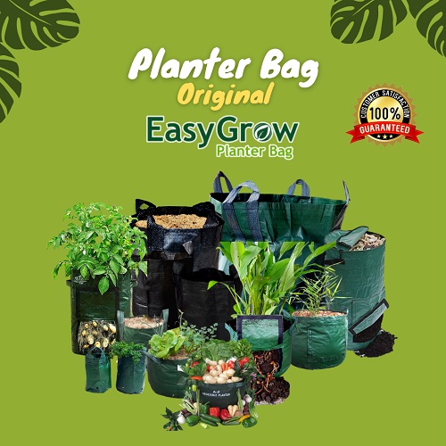 planter bag easy grow
