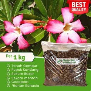 media tanam adenium 1 kg